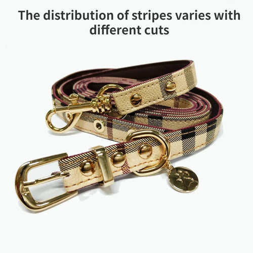 Pet Collar and Leash Set Leather Fashion Adjustable Collars for Dogs